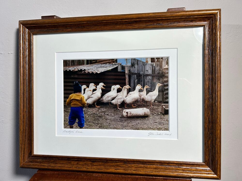 Signed Original Photograph Chasing Grandpa’s Geese Goose 2004 Framed Farm